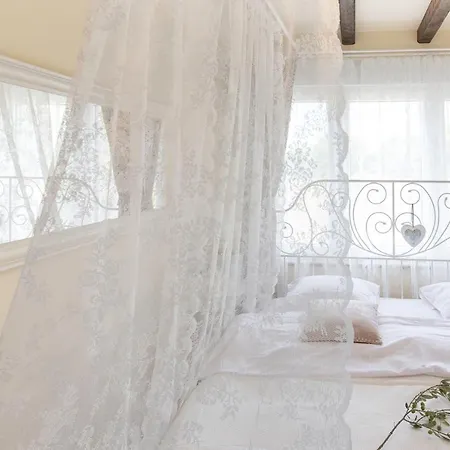 V&v روغوزنيكا