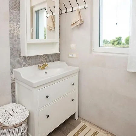 V&v روغوزنيكا