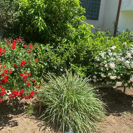 V&v Holiday home Rogoznica (Sibenik-Knin)