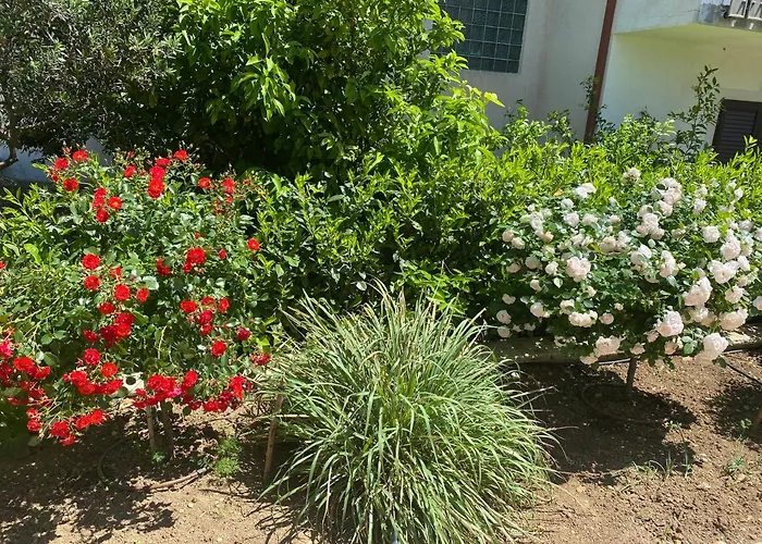 V&v Vakantiehuis Rogoznica (Sibenik-Knin)