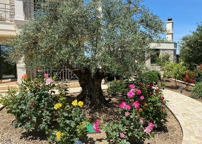 V&v Rogoznica (Sibenik-Knin)